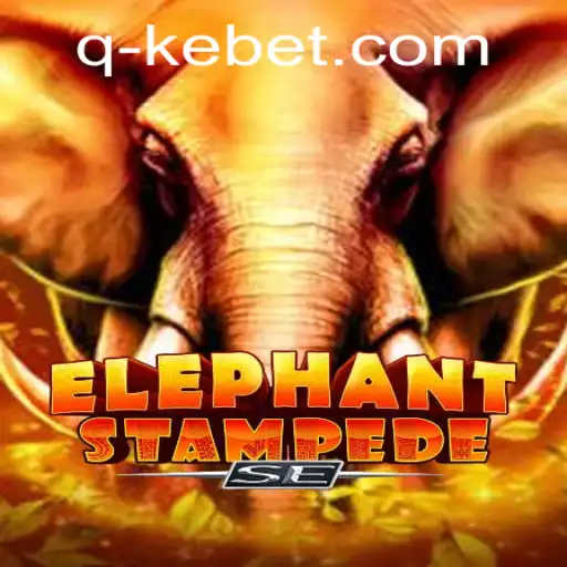 Exploring the World of ElephantStampedeSE: A Comprehensive Overview